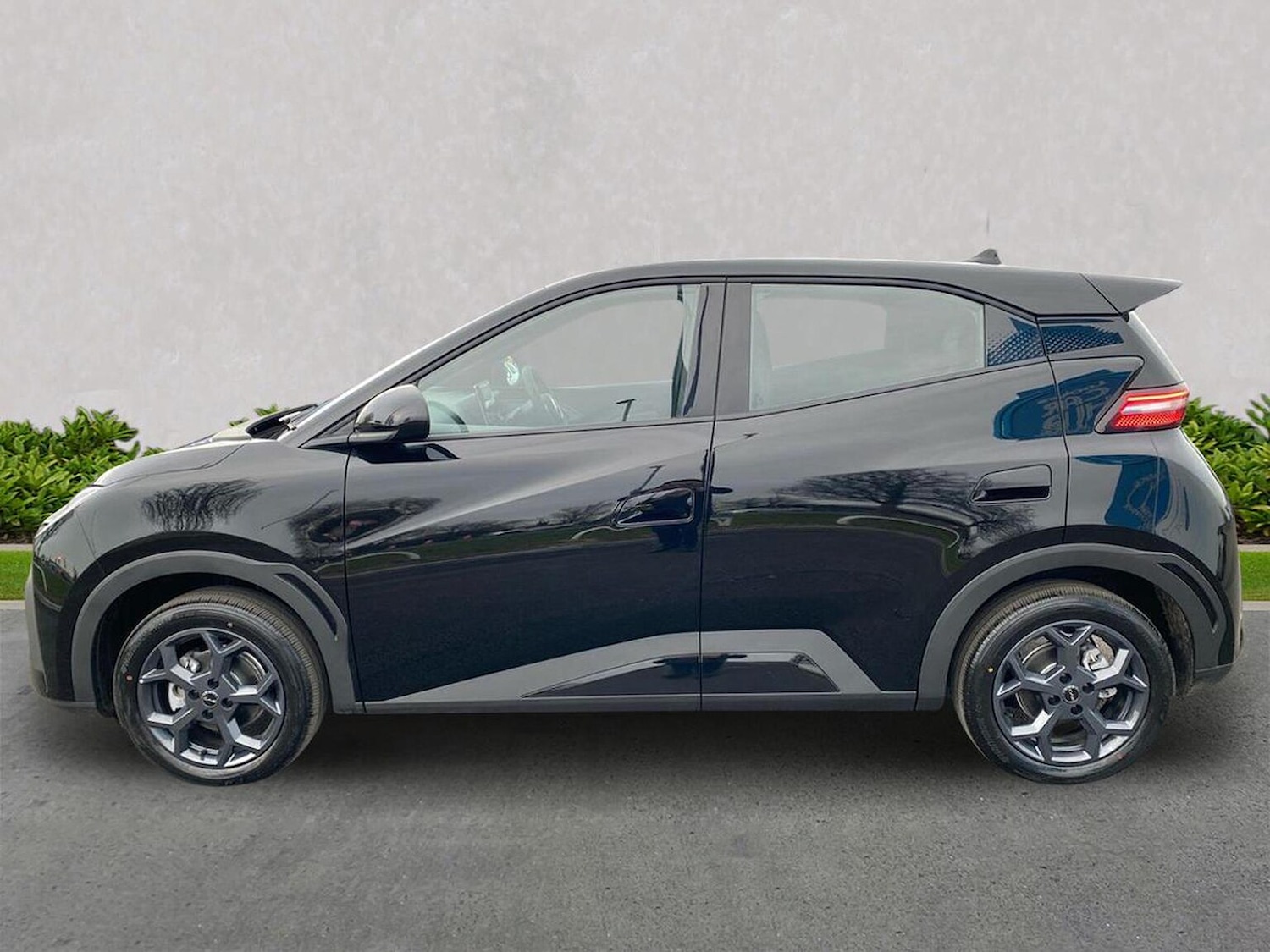 Used BYD Dolphin 2026 for sale - 77888585: Photo 19