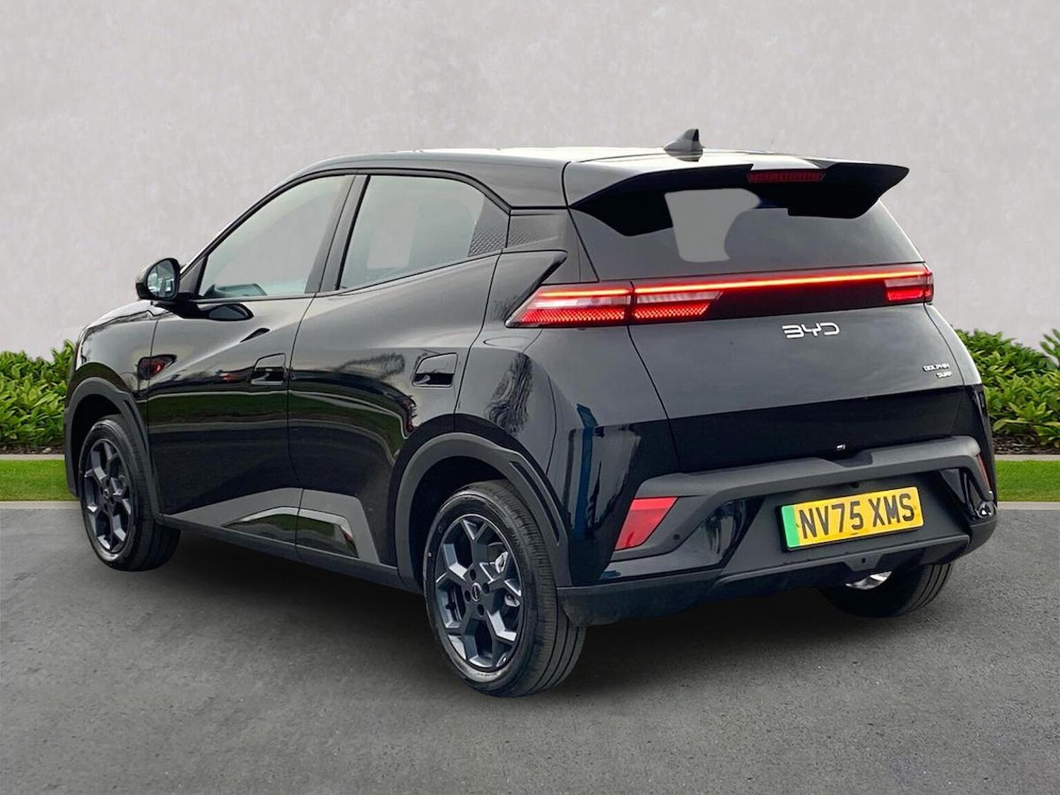 Used BYD Dolphin 2026 for sale - 77888585: Photo 2