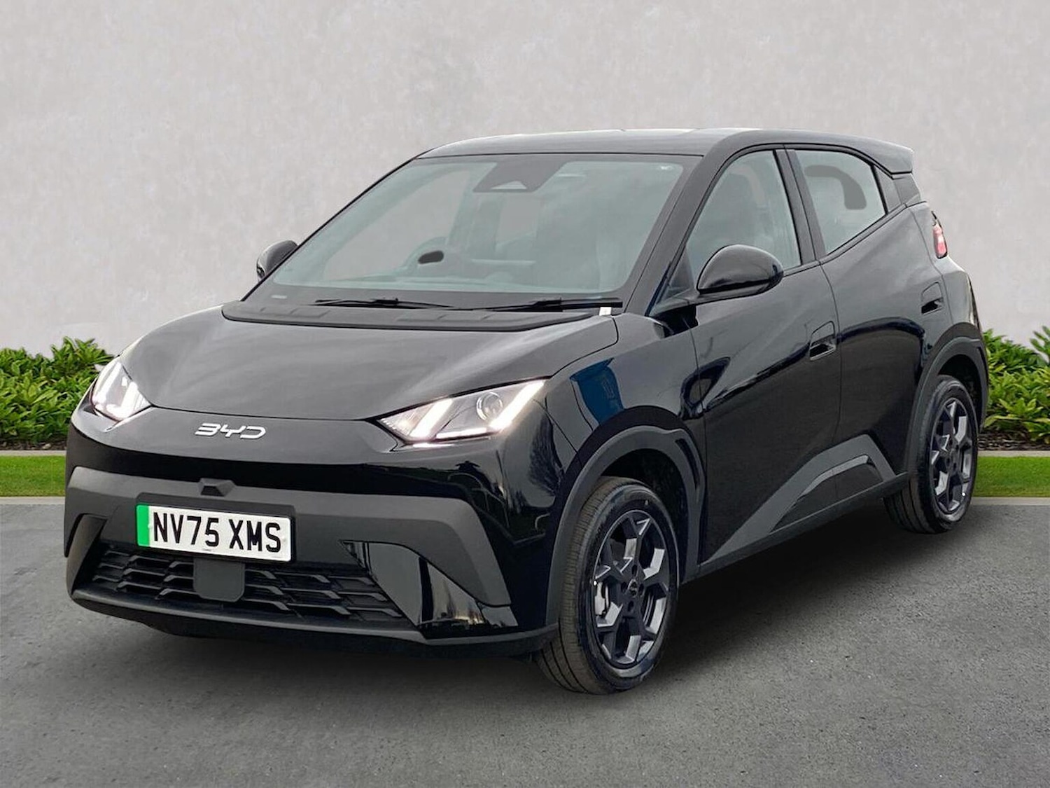 Used BYD Dolphin 2026 for sale - 77888585: Photo 20