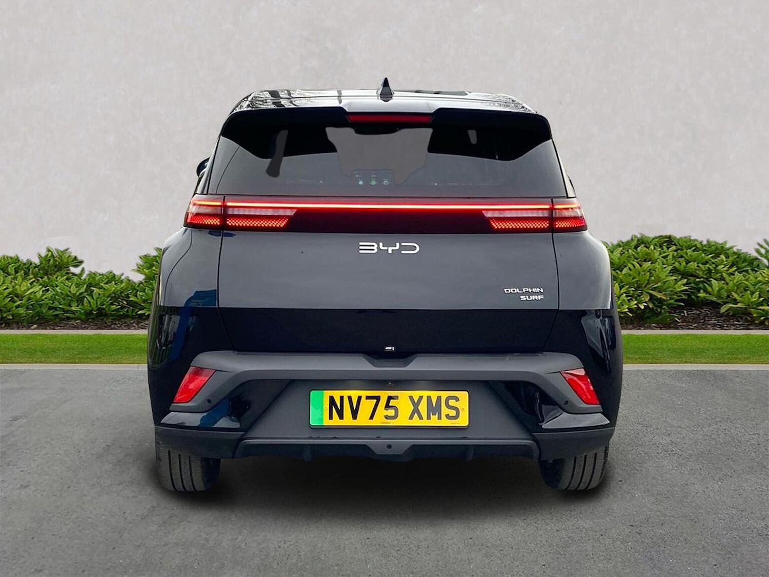 Used BYD Dolphin 2026 for sale - 77888585: Photo 4