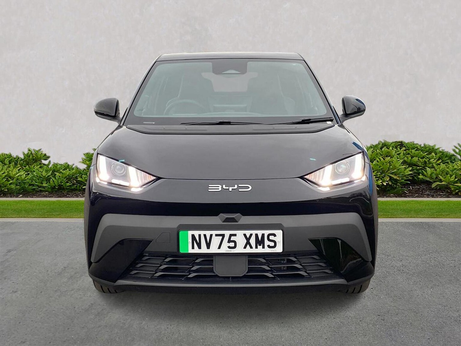 Used BYD Dolphin 2026 for sale - 77888585: Photo 5