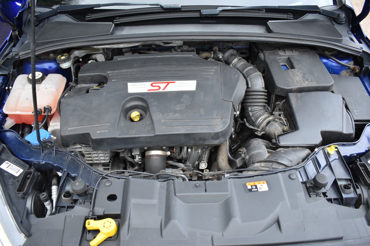 Used Ford Focus 2016 for sale - 78010903: Photo 19