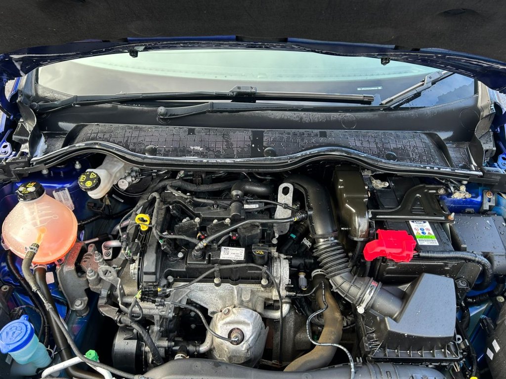 Used Ford Fiesta 2017 for sale - 77572151: Photo 17