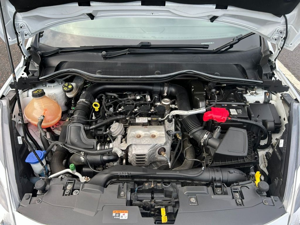 Used Ford Fiesta 2017 for sale - 77263849: Photo 11