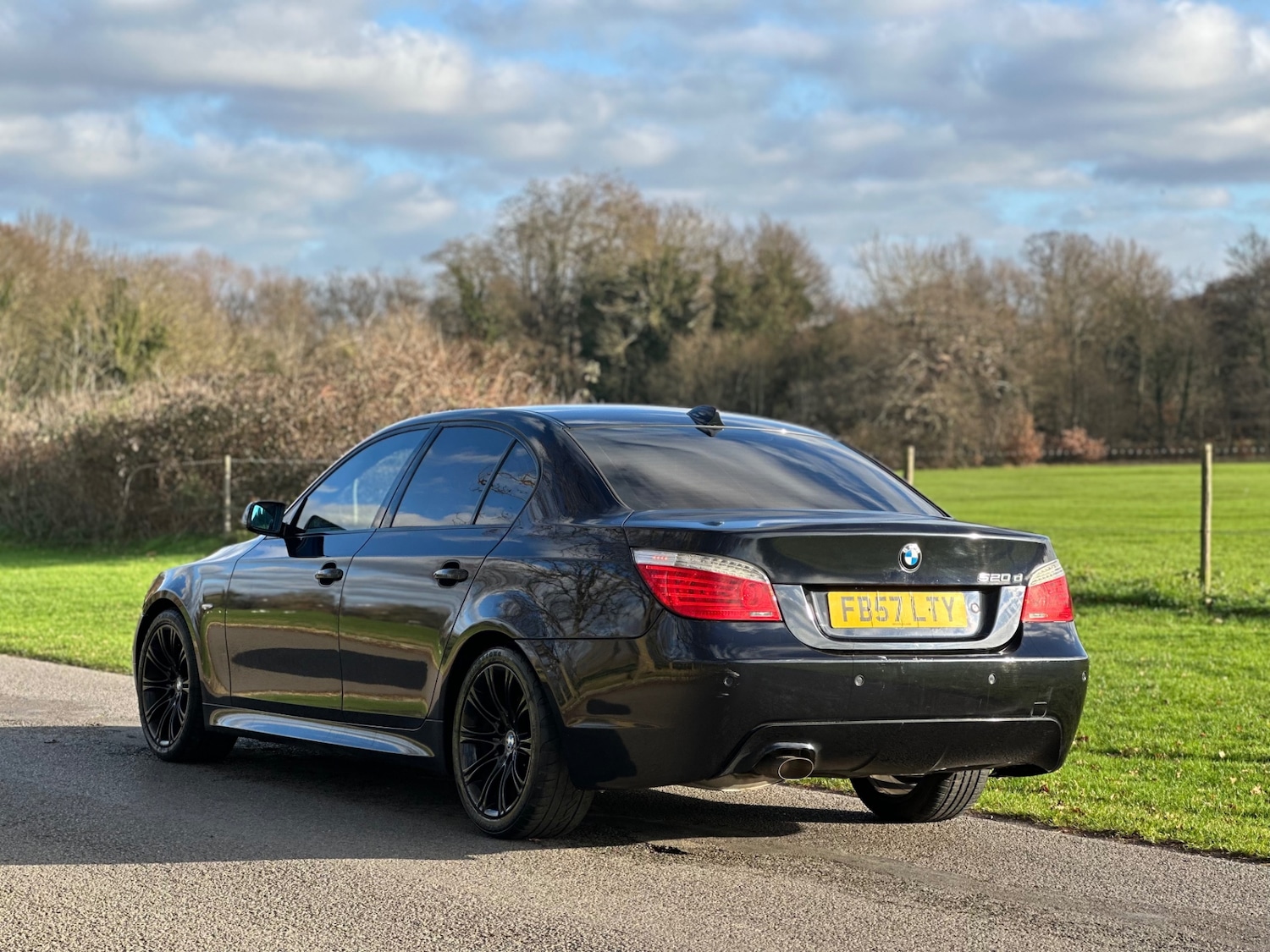 Used BMW 5 Series 2008 for sale - 77051629: Photo 3