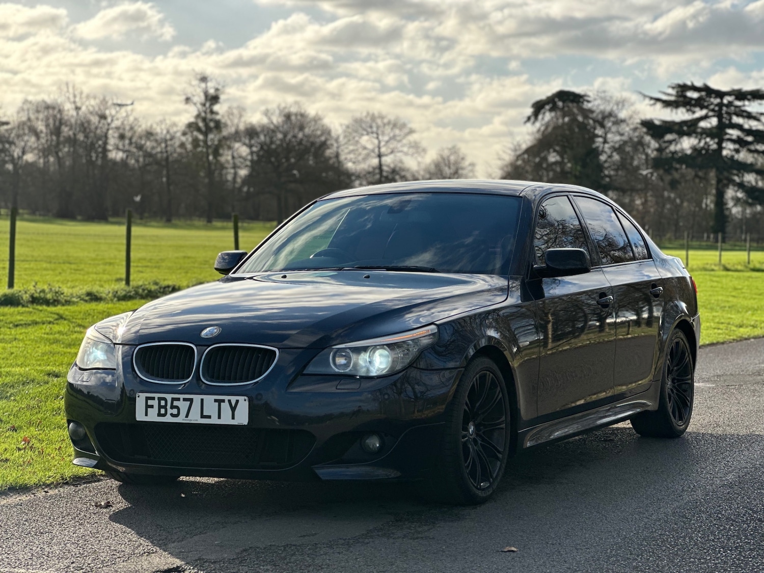 Used BMW 5 Series 2008 for sale - 77051629: Photo 4