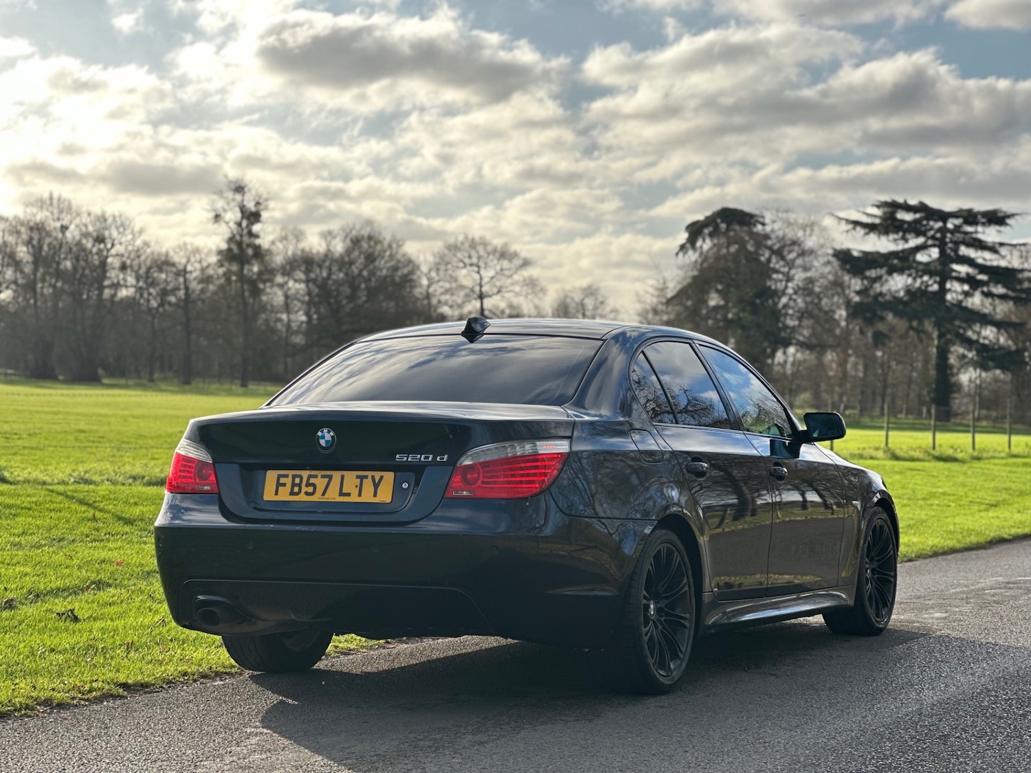 Used BMW 5 Series 2008 for sale - 77051629: Photo 5