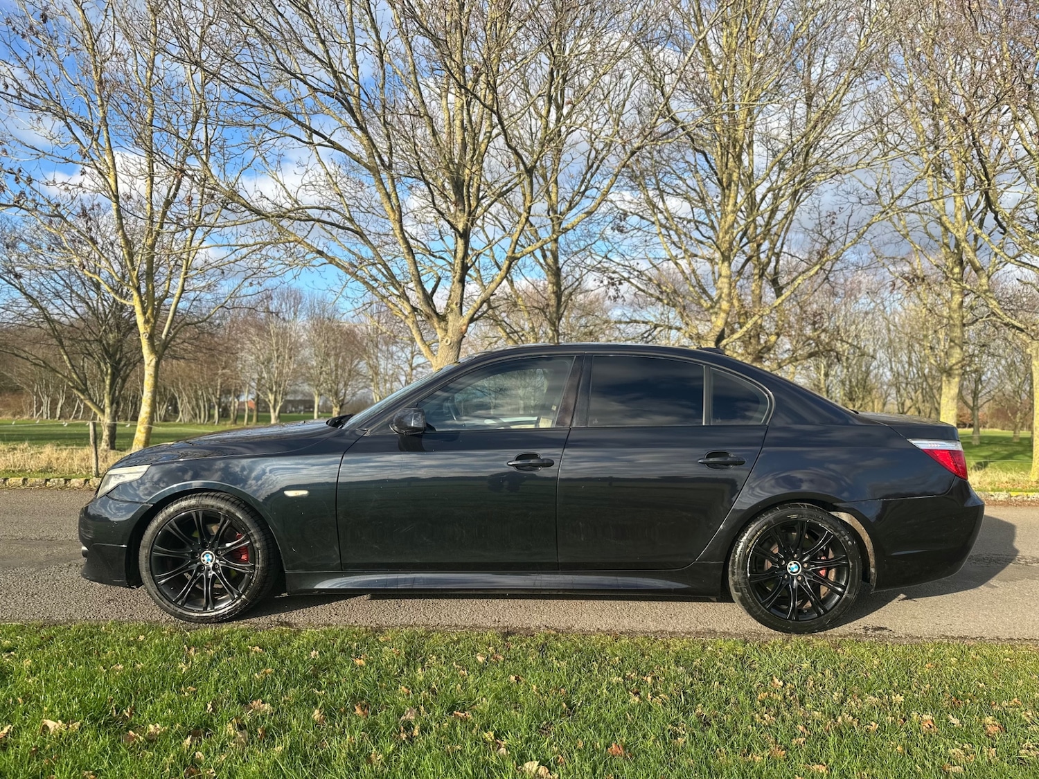 Used BMW 5 Series 2008 for sale - 77051629: Photo 6