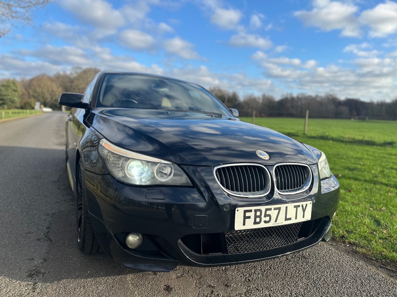 Used BMW 5 Series 2008 for sale - 77051629: Photo 8