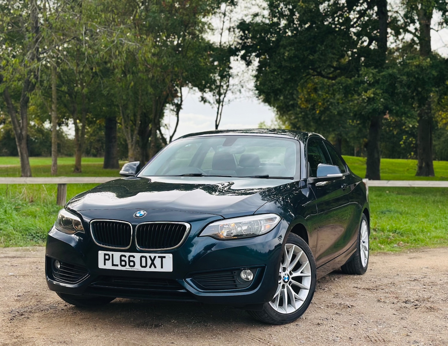 Used BMW 2 Series 2016 for sale - 76090985: Photo 2