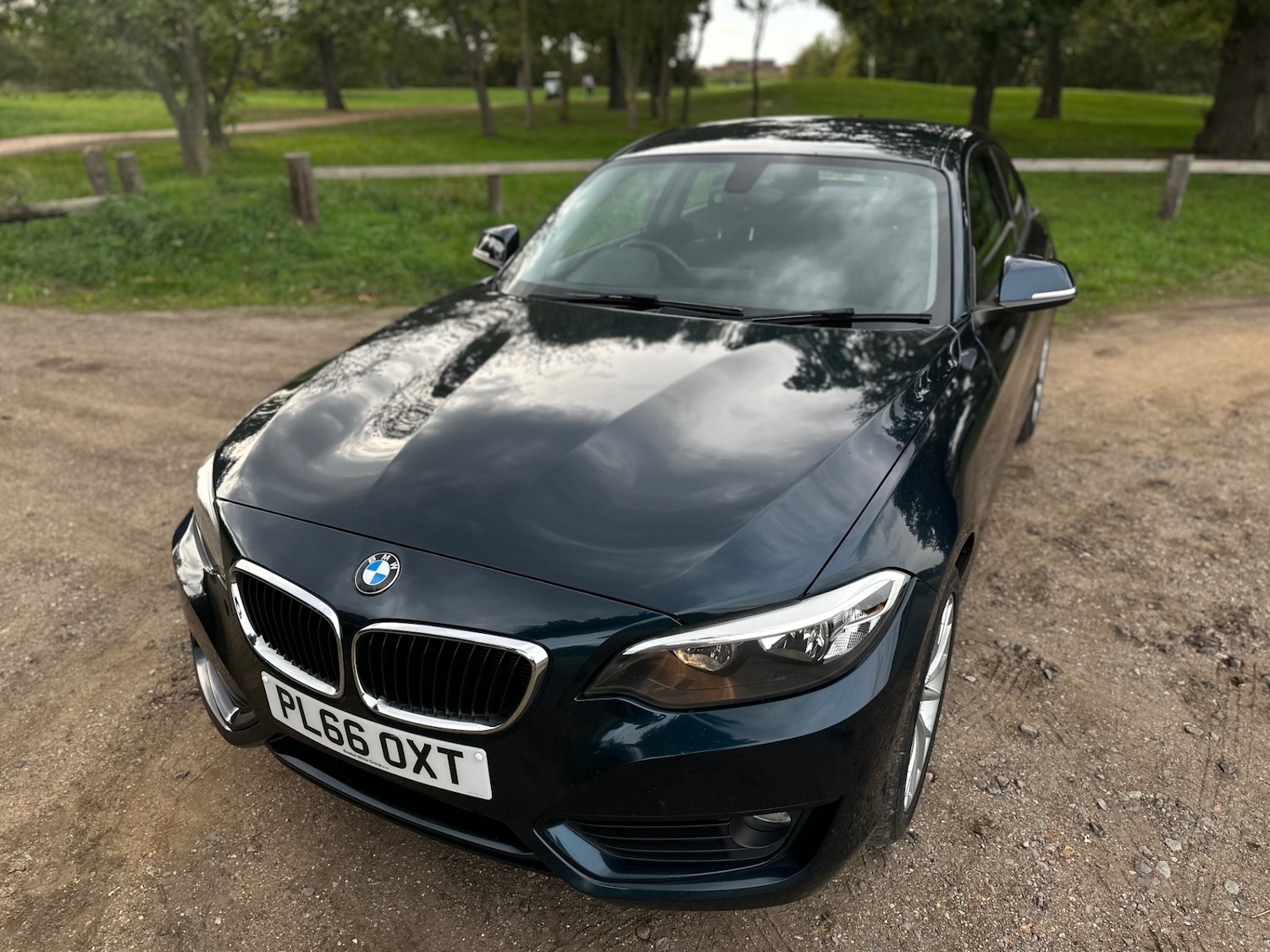 Used BMW 2 Series 2016 for sale - 76090985: Photo 3