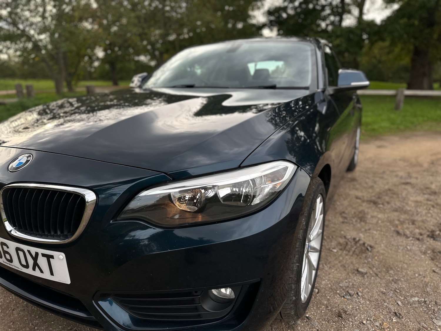 Used BMW 2 Series 2016 for sale - 76090985: Photo 4