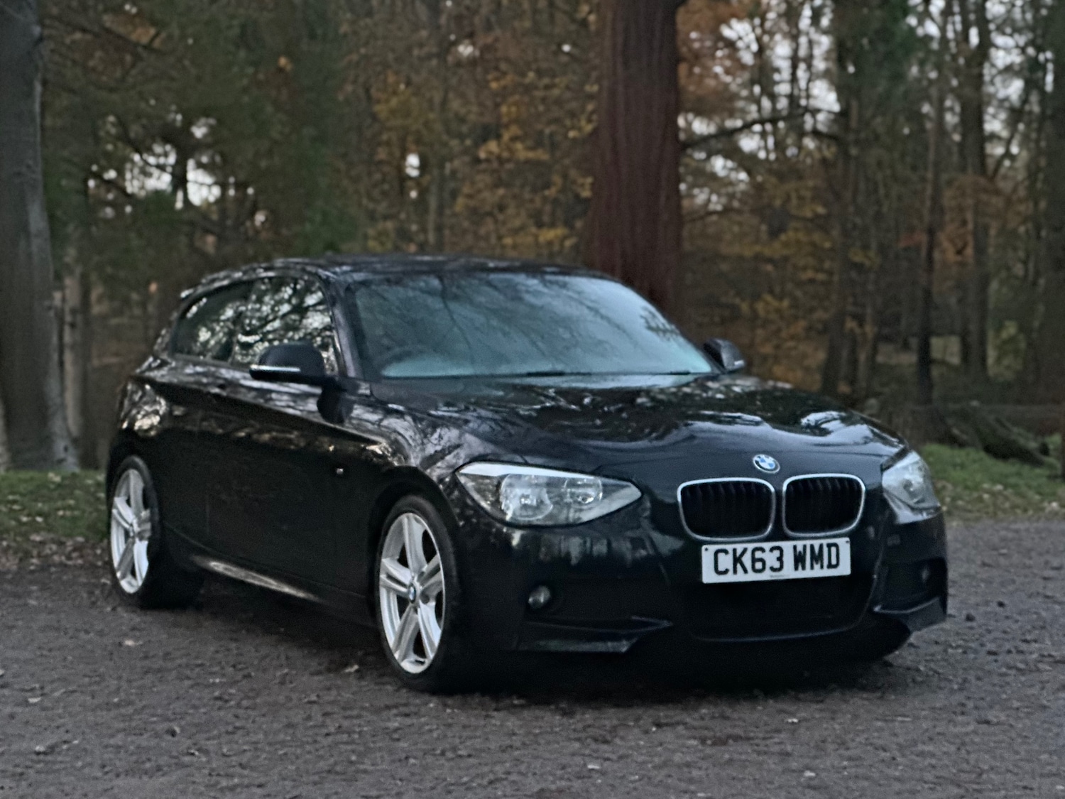 Used BMW 1 Series 2014 for sale - 76828808: Photo 1