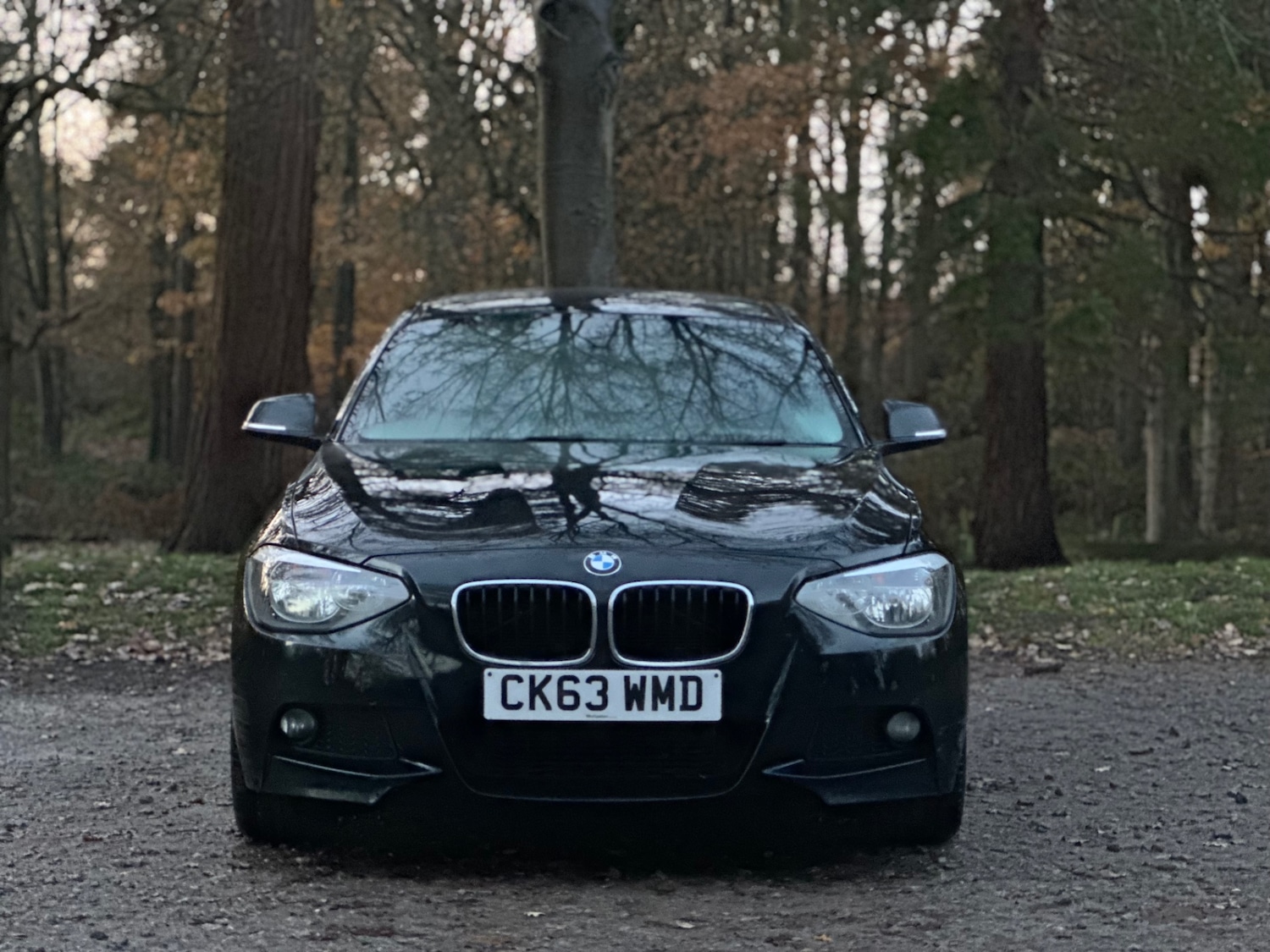 Used BMW 1 Series 2014 for sale - 76828808: Photo 3