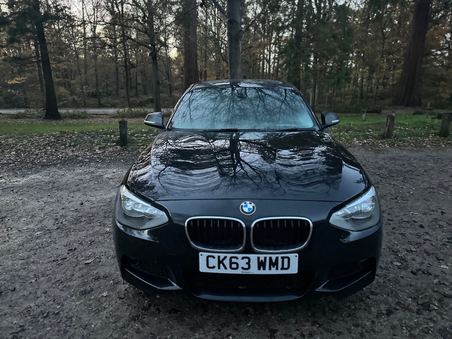 Used BMW 1 Series 2014 for sale - 76828808: Photo 7