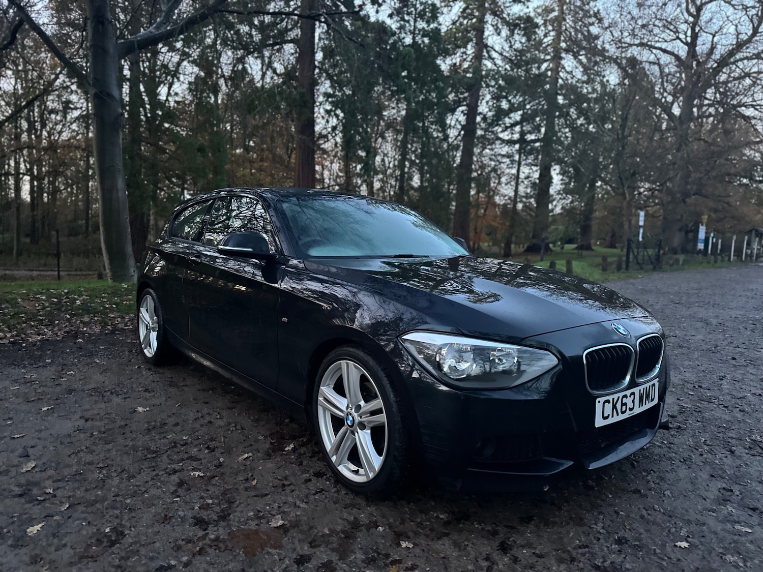 Used BMW 1 Series 2014 for sale - 76828808: Photo 8
