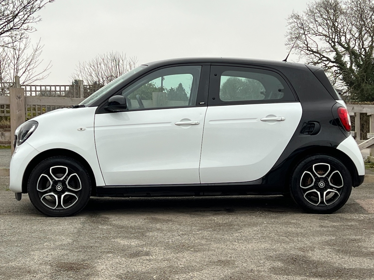 Used smart forfour 2017 for sale - 77323421: Photo 13