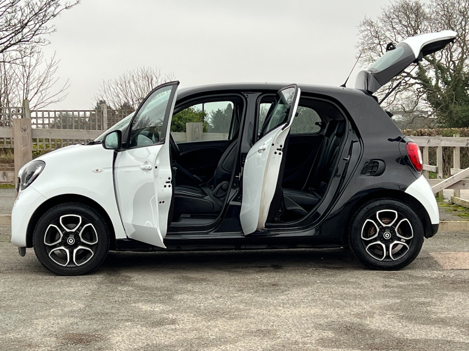 Used smart forfour 2017 for sale - 77323421: Photo 3