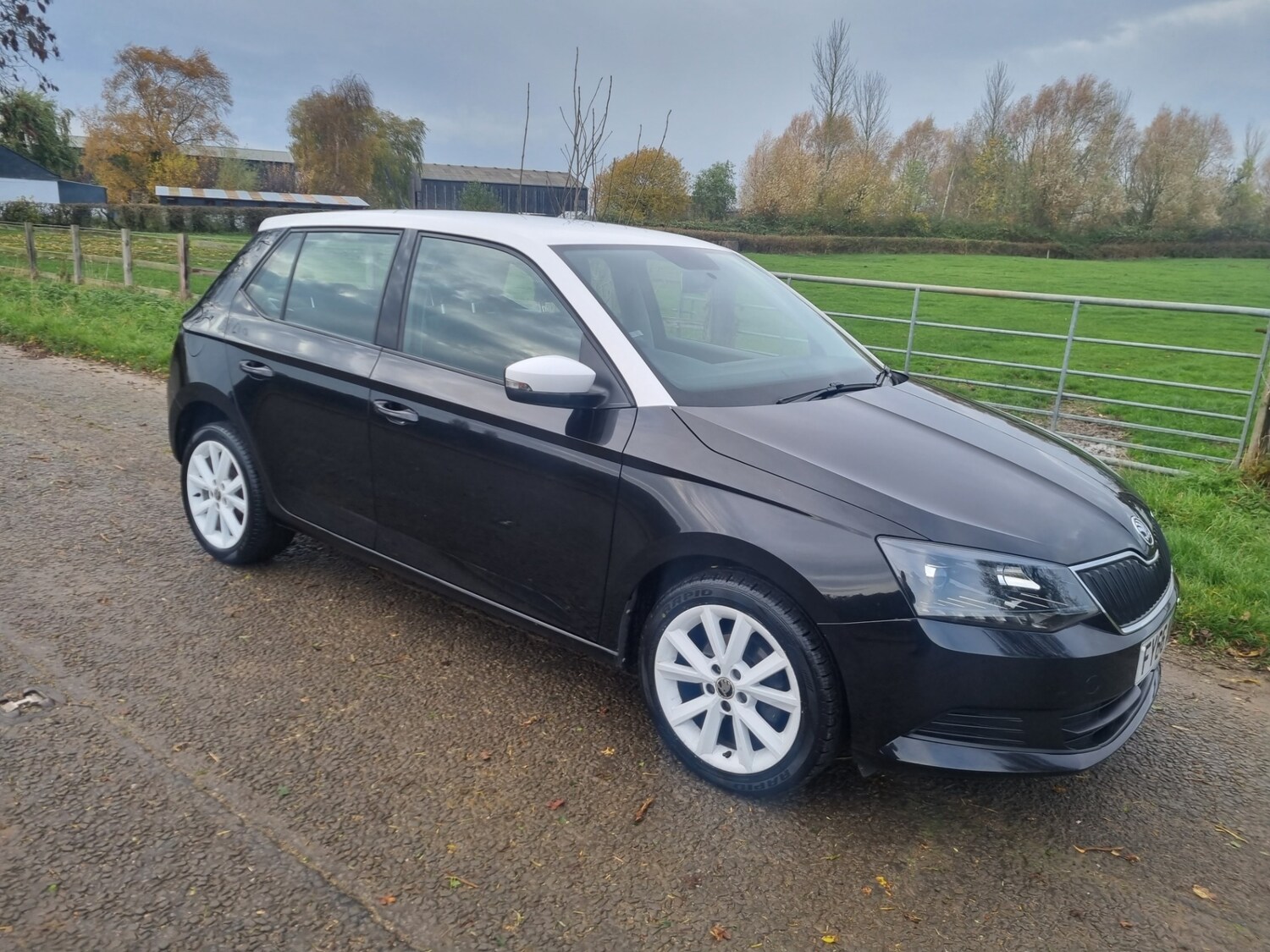 Used Skoda Fabia 2016 for sale - 76507337: Photo 14