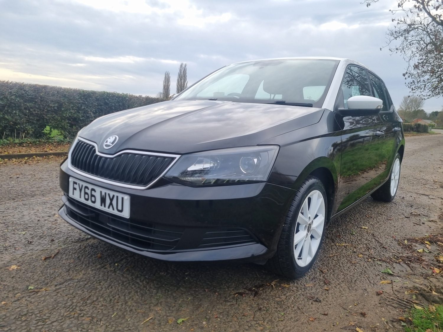 Used Skoda Fabia 2016 for sale - 76507337: Photo 5
