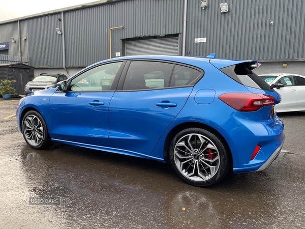 Used Ford Focus 2024 for sale - 77315634: Photo 7