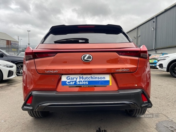 Used Lexus UX 2022 for sale - 77469540: Photo 6