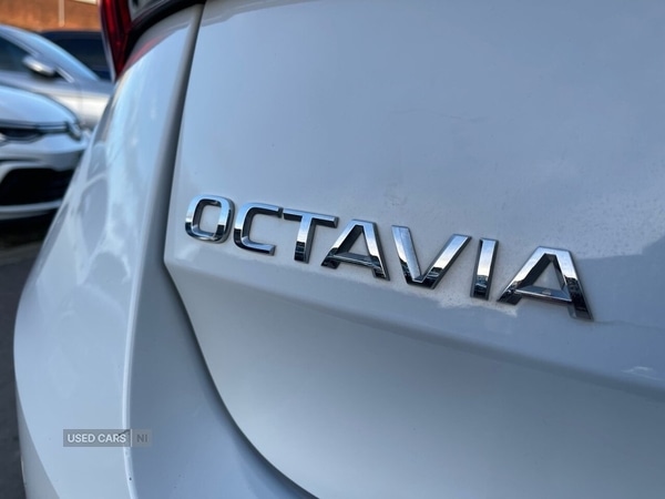 Used Skoda Octavia 2023 for sale - 76562992: Photo 43