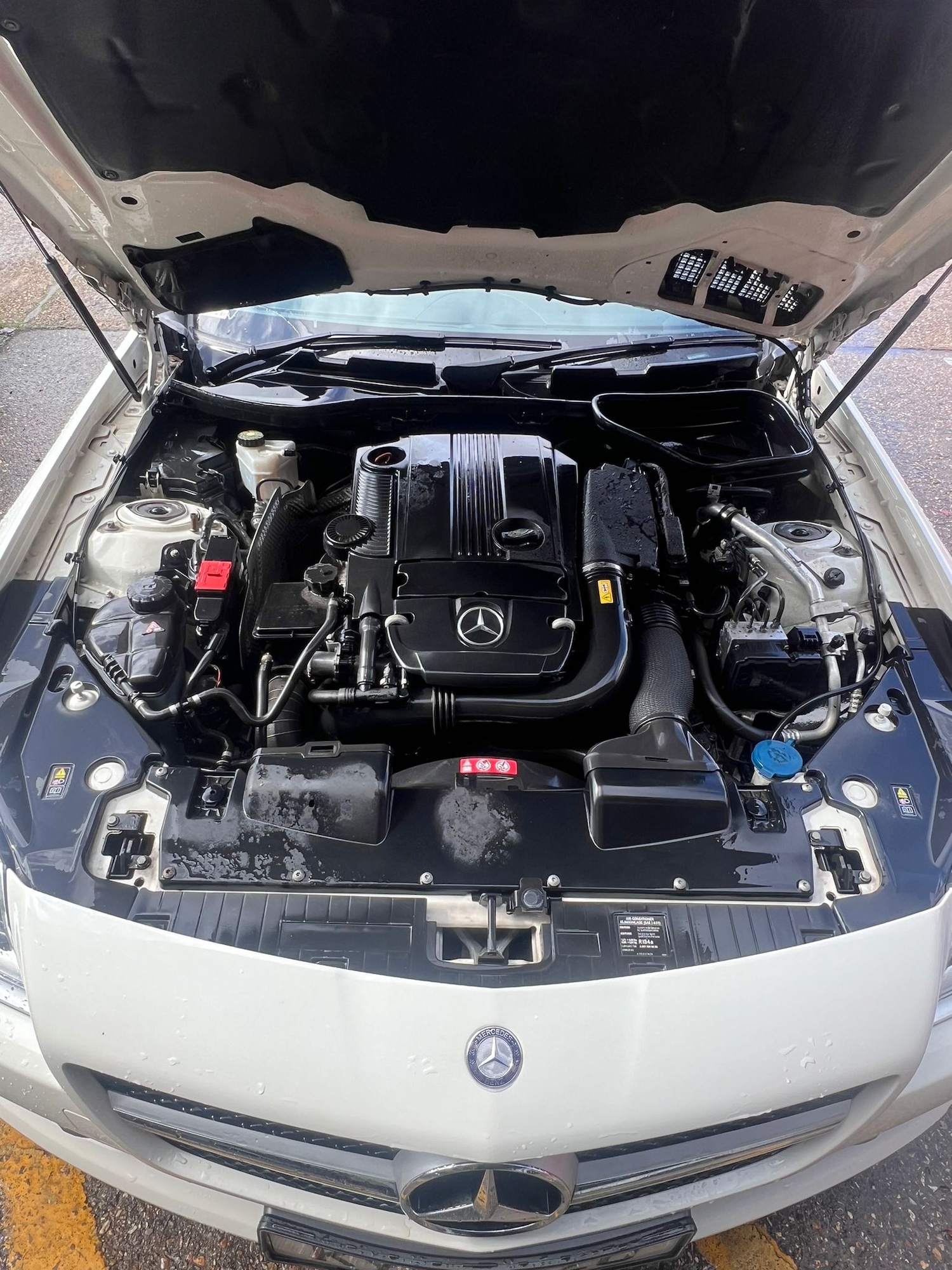 Used Mercedes-Benz SLK 2011 for sale - 77446016: Photo 3