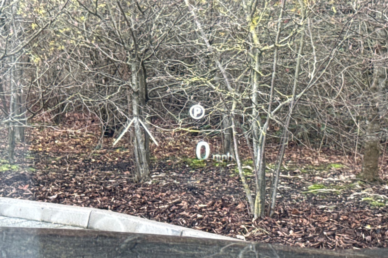 Used Land Rover Range Rover Velar 2024 for sale - 76876112: Photo 34