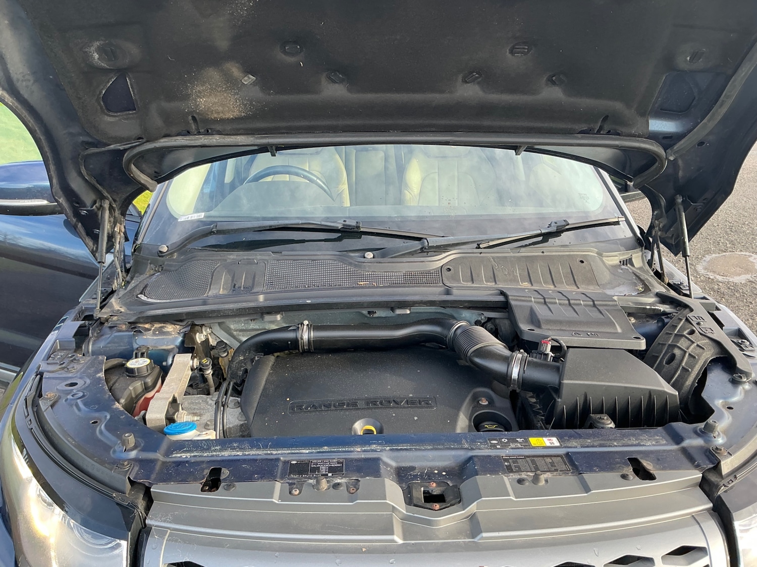 Used Land Rover Range Rover Evoque 2013 for sale - 77350747: Photo 17