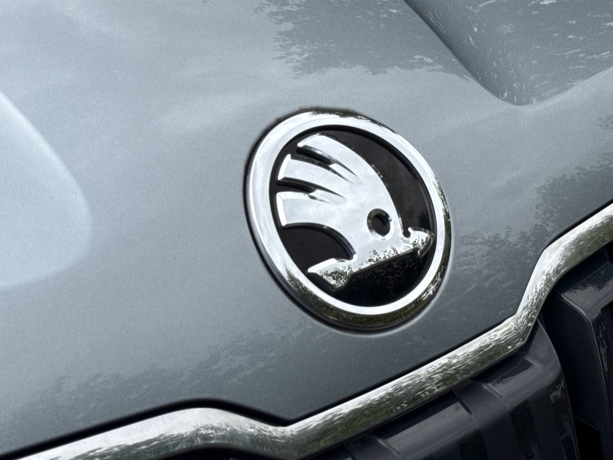 Used Skoda Karoq 2019 for sale - 76412758: Photo 48