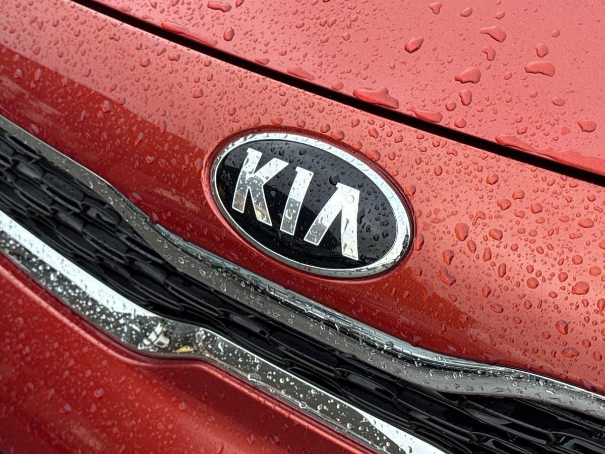 Used Kia Picanto 2019 for sale - 76594753: Photo 43