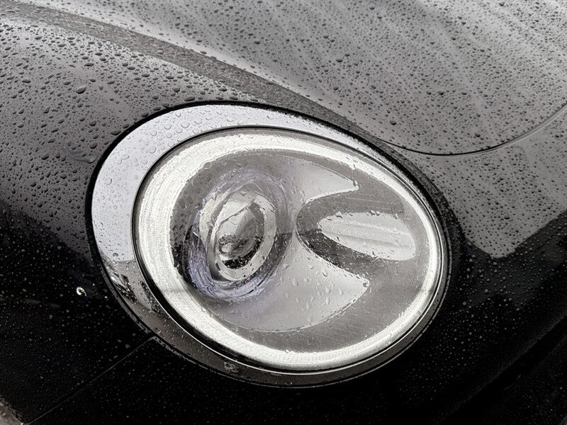 Used GWM Funky Cat for sale - 77272293: Photo 17