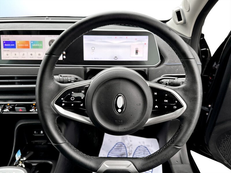 Used GWM Funky Cat for sale - 77272293: Photo 36