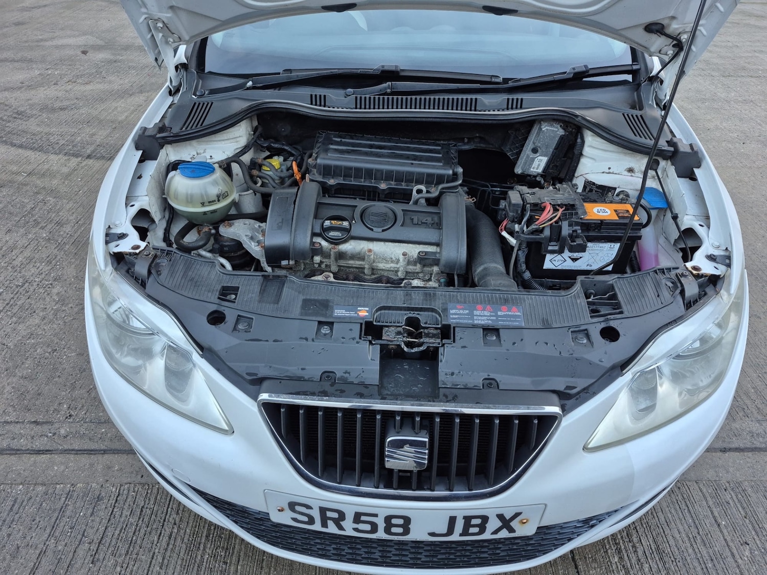 Used SEAT Ibiza 2008 for sale - 77028396: Photo 6