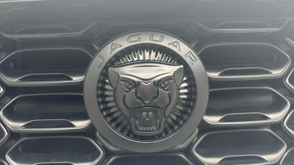 Used Jaguar F-Type 2023 for sale - 76078945: Photo 36