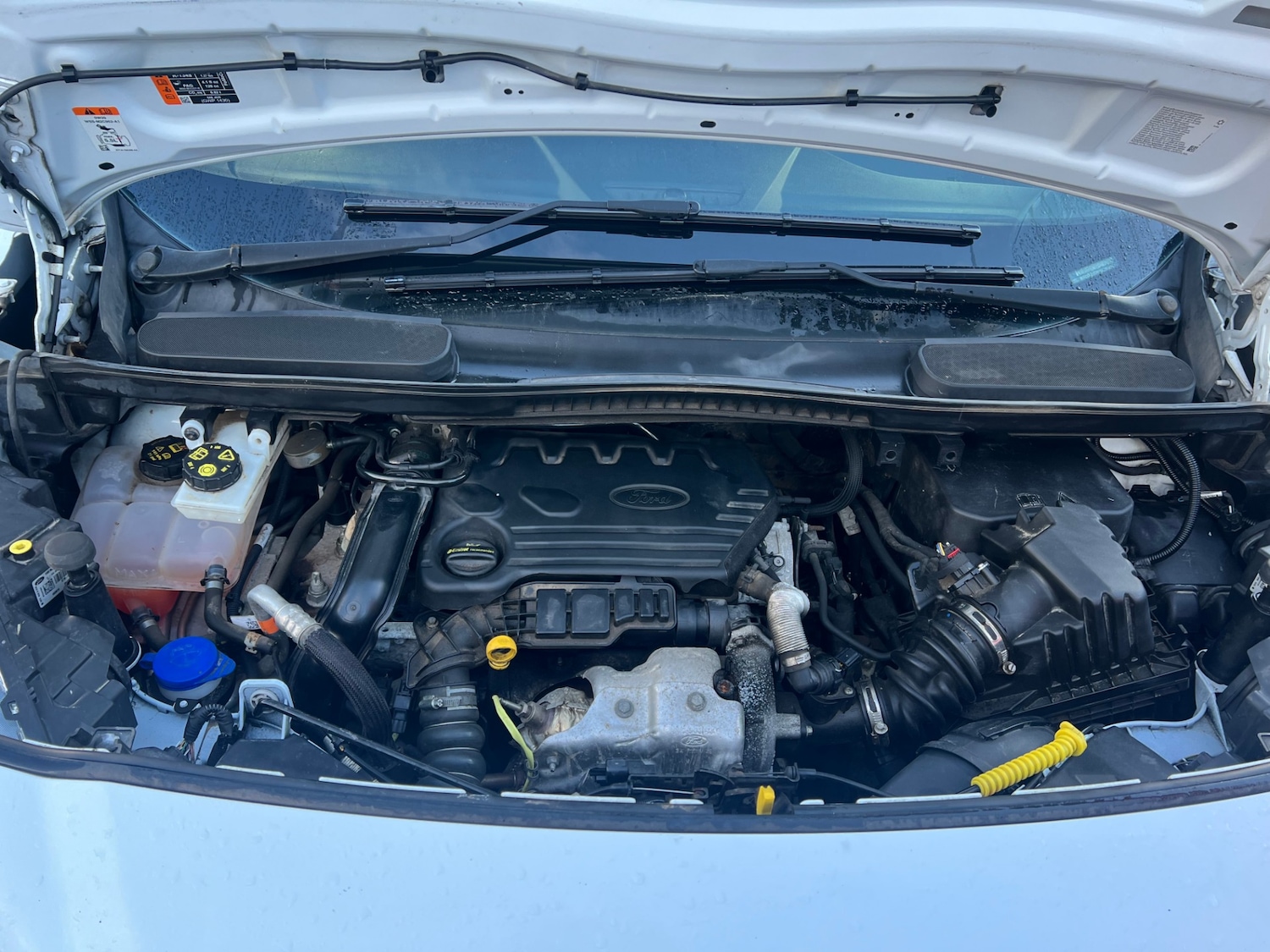 Used Ford Transit Connect 2020 for sale - 77589678: Photo 9