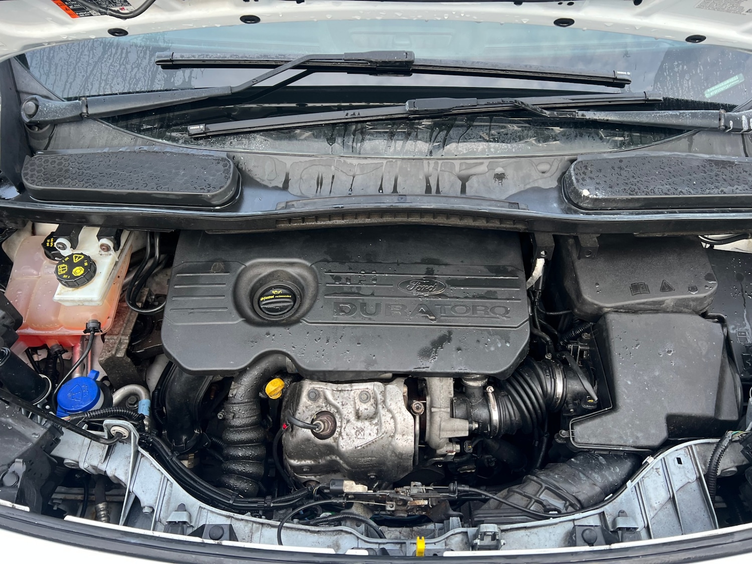 Used Ford Transit Connect 2017 for sale - 78187572: Photo 6