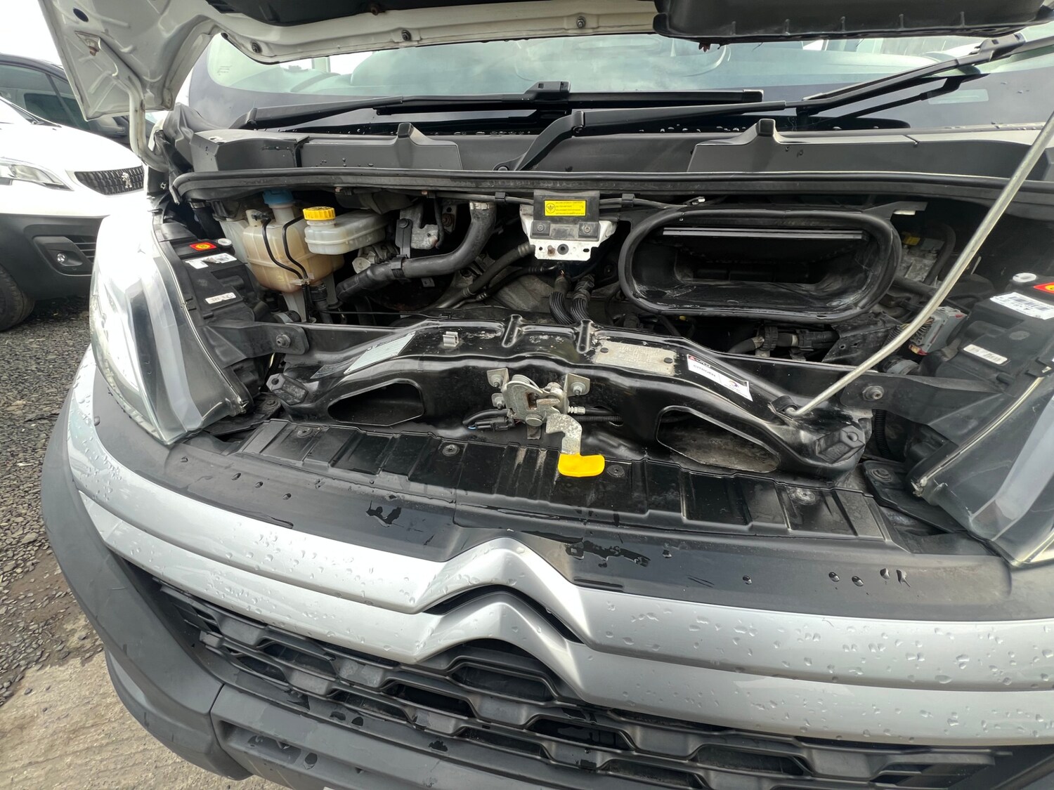 Used Citroen Relay for sale - 78189612: Photo 13