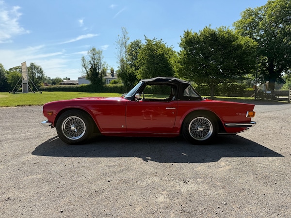 Used Triumph TR6 2021 for sale - 75045897: Photo 11