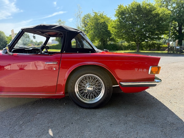 Used Triumph TR6 2021 for sale - 75045897: Photo 12