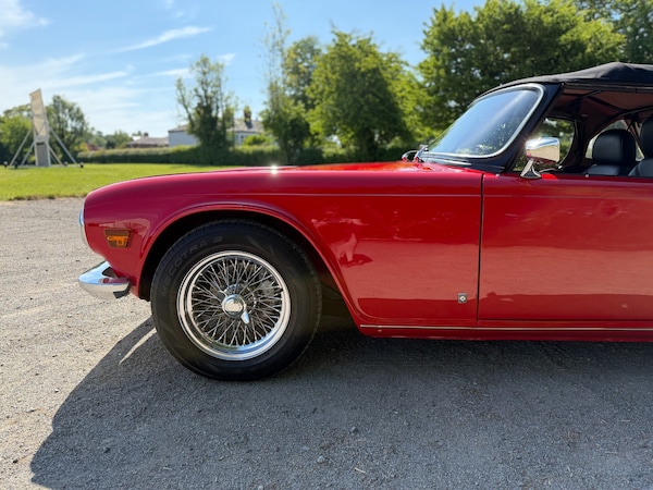 Used Triumph TR6 2021 for sale - 75045897: Photo 13