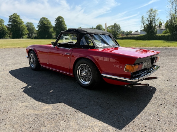 Used Triumph TR6 2021 for sale - 75045897: Photo 15