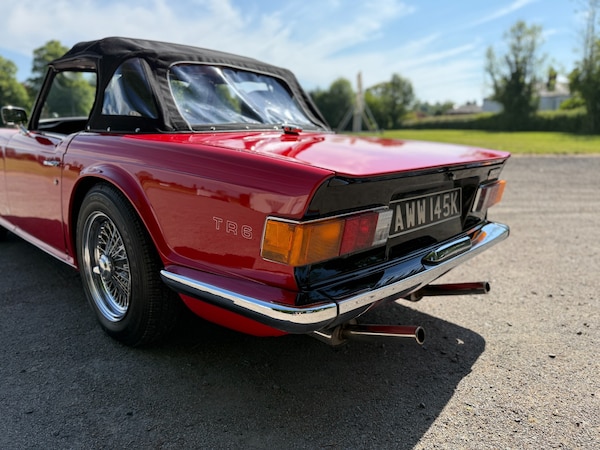 Used Triumph TR6 2021 for sale - 75045897: Photo 16