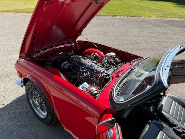 Used Triumph TR6 2021 for sale - 75045897: Photo 27