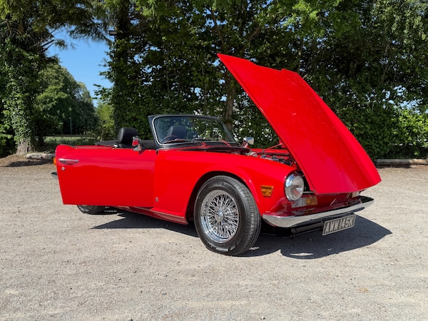 Used Triumph TR6 2021 for sale - 75045897: Photo 30