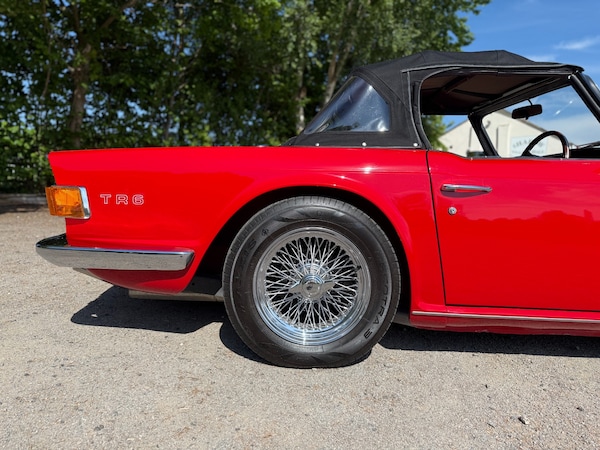 Used Triumph TR6 2021 for sale - 75045897: Photo 5