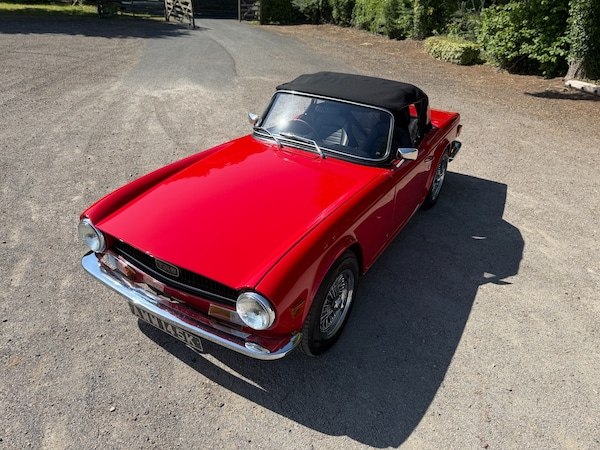 Used Triumph TR6 2021 for sale - 75045897: Photo 9