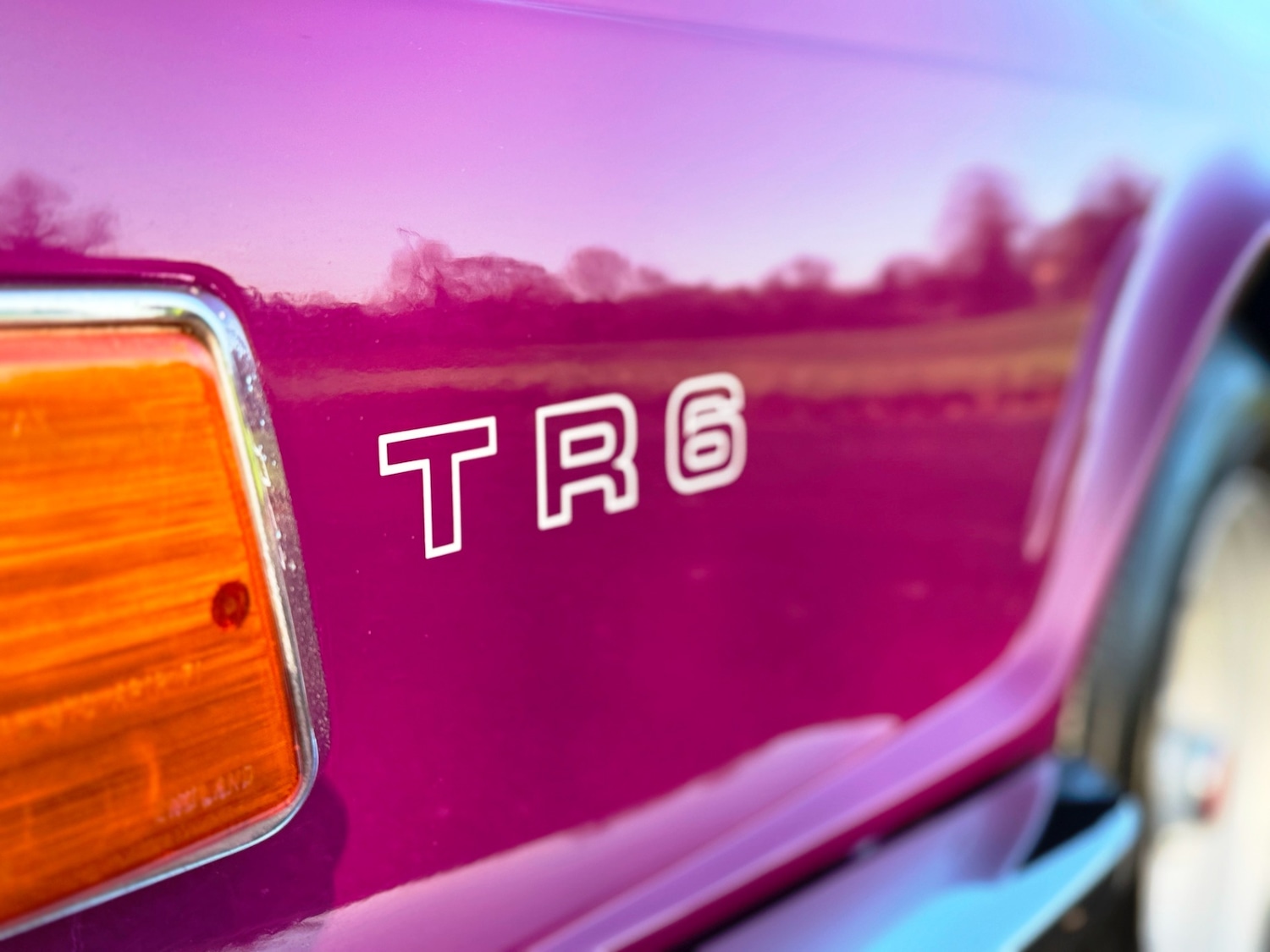 Used Triumph TR6 1974 for sale - 76778214: Photo 11