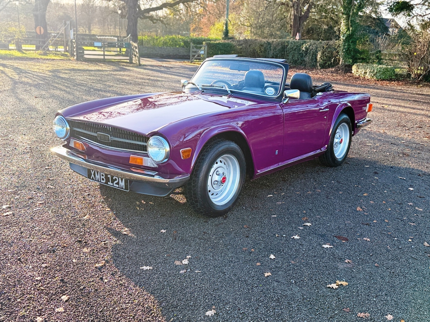 Used Triumph TR6 1974 for sale - 76778214: Photo 19